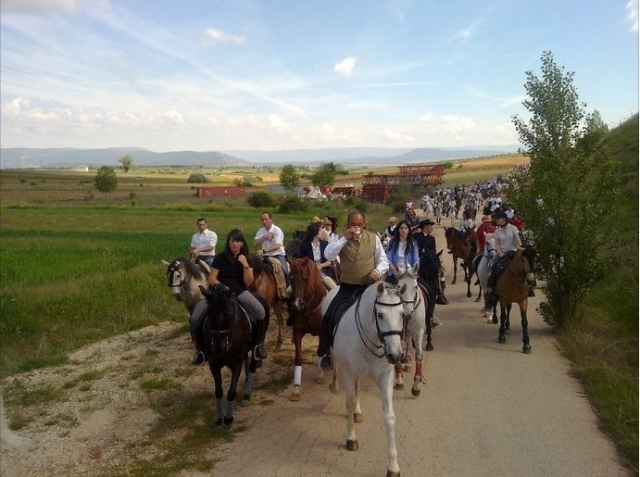 Descubre nuestros caballos